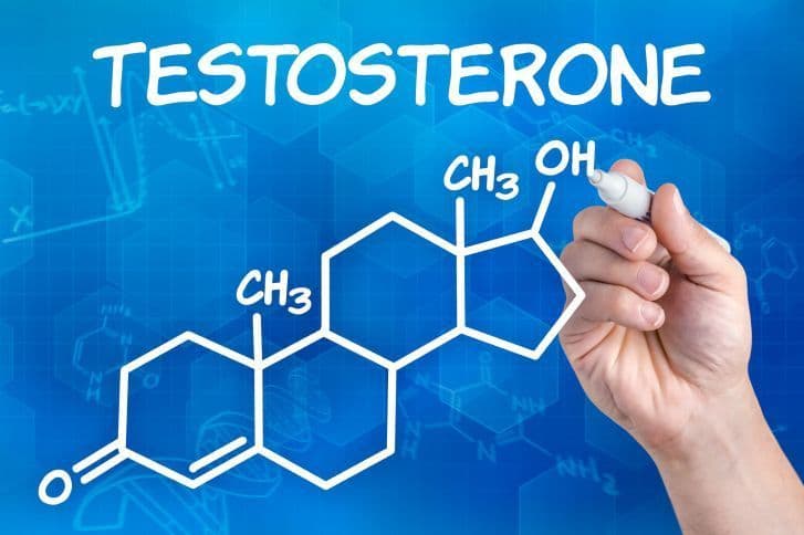 Stimuler la Testostérone Naturellement : Les Approches Hygiéniques, Sportives et Nutritionnelles