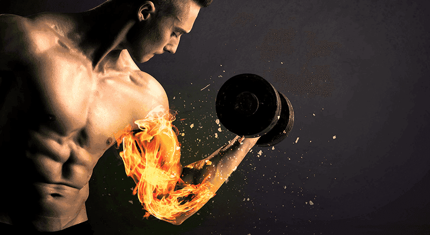 Créatine : Du Métabolisme de la Phosphocréatine à la Neuro-Optimisation